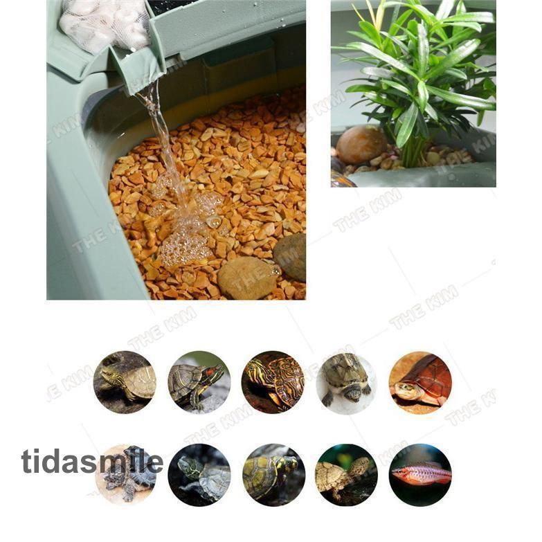 両生類用品