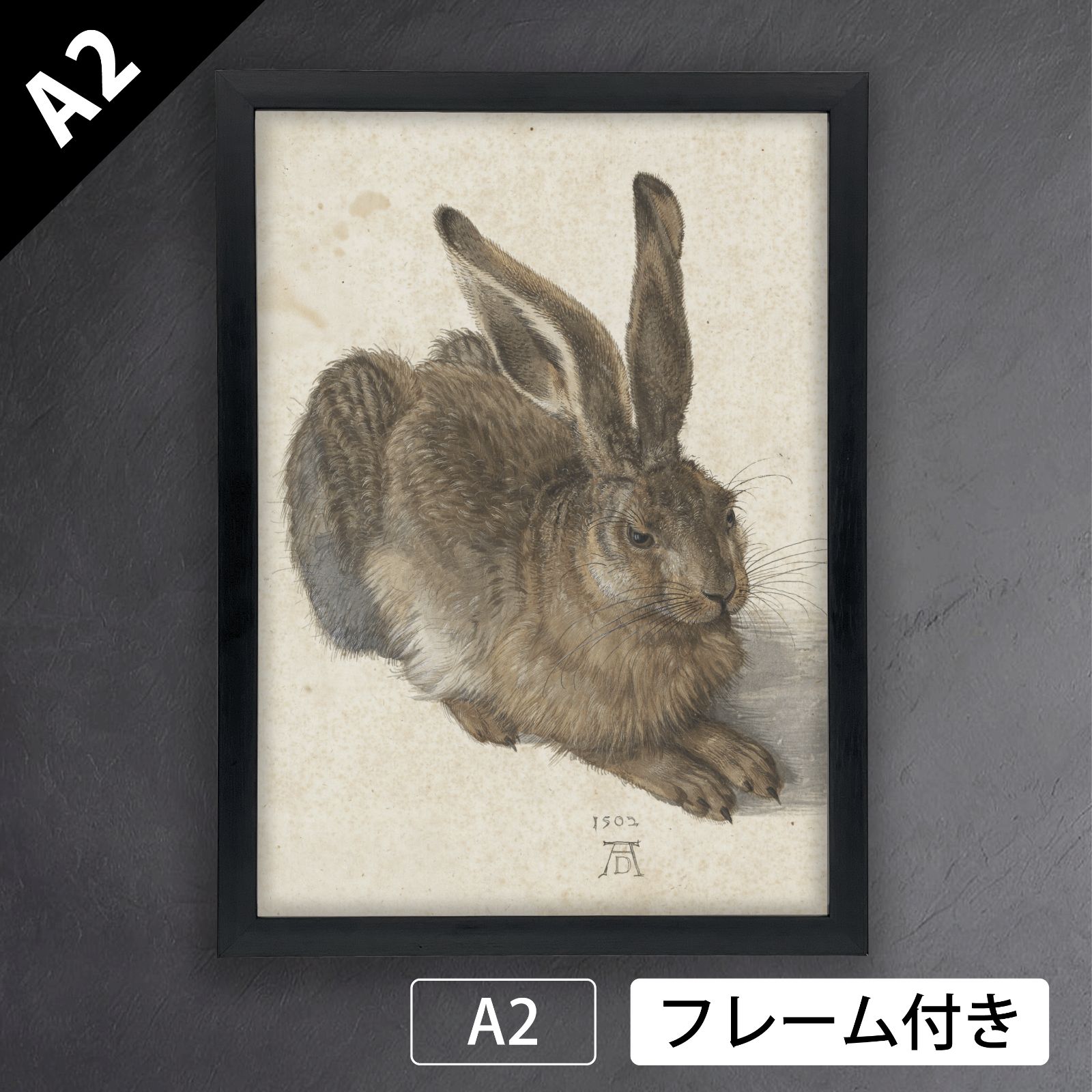 アルブレヒト・デューラー『若い野ウサギ』（1502年）アート