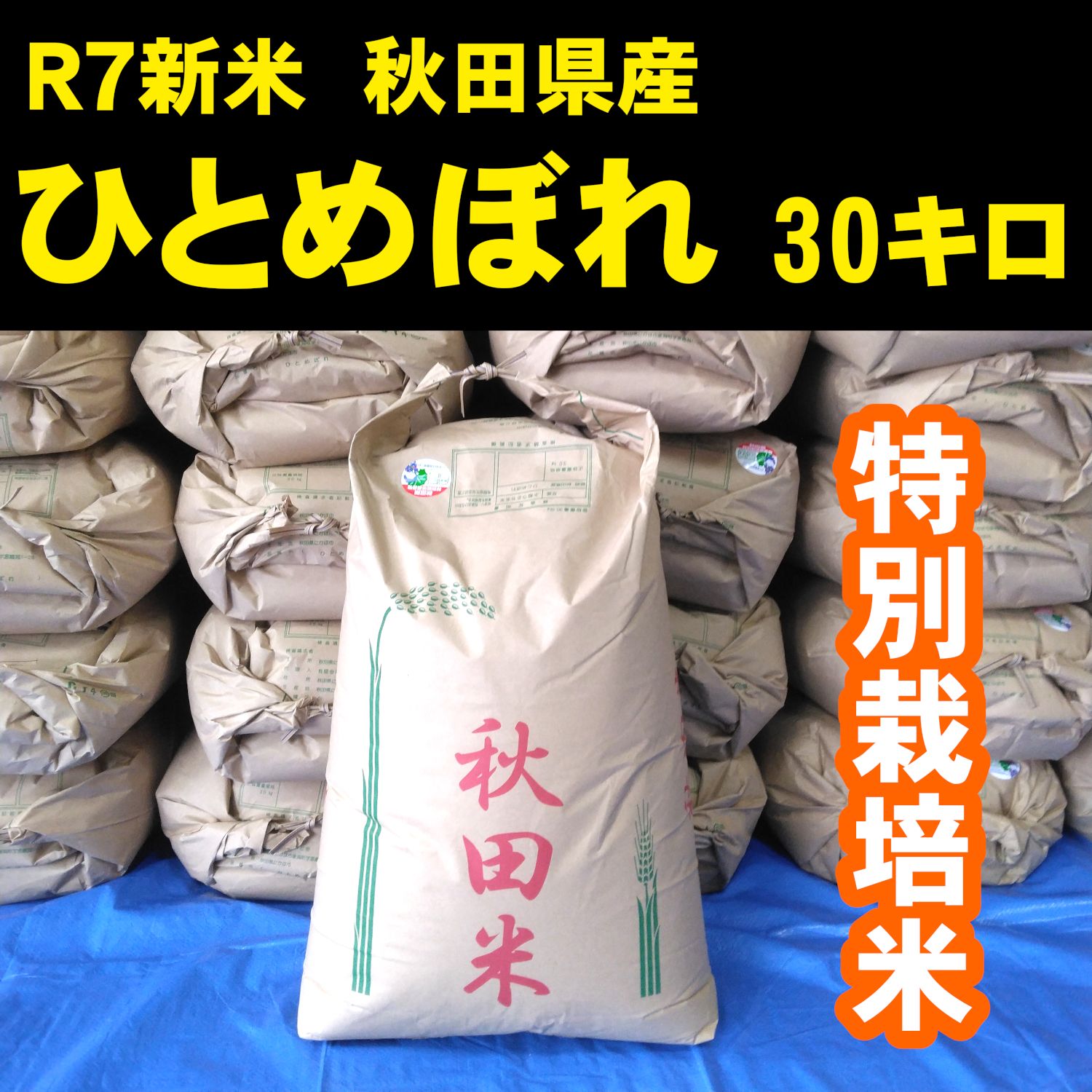 秋田県産ひとめぼれ 30kg 令和7年産 特別栽培米