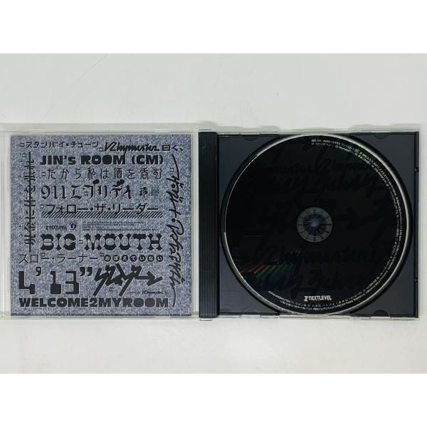 CD グレイゾーン ライムスター RHYMESTER / スタンバイチューン