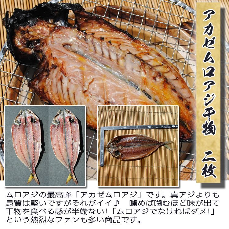 旬彩干物セット【国産】～魚の旬毎に変化していく干物セット-2