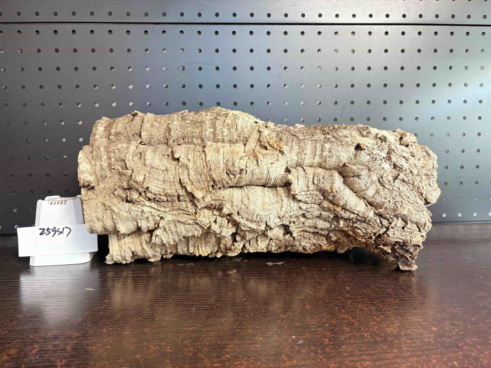 キャノンコルク コルク樹皮