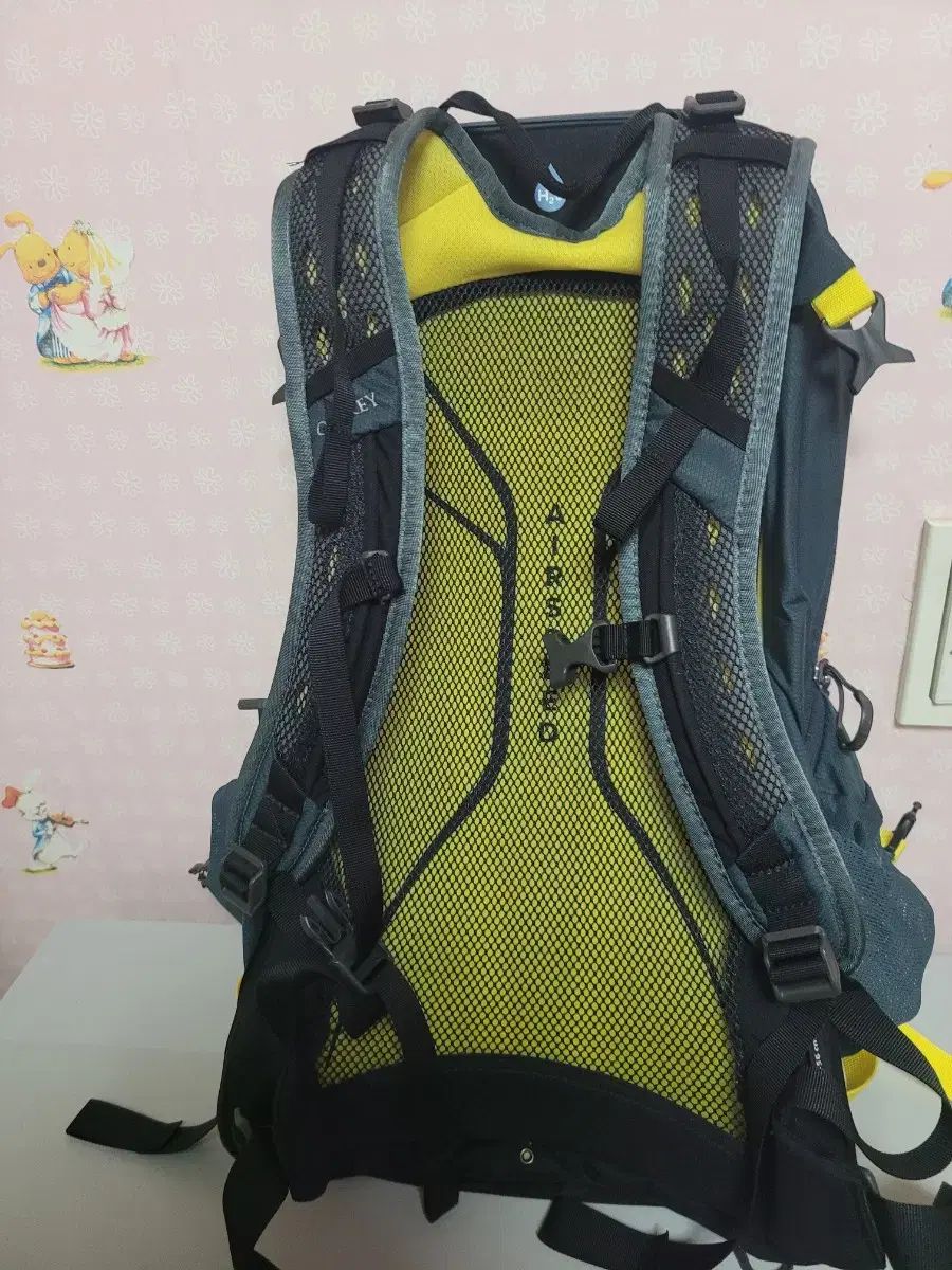 ☪ オスプレイ