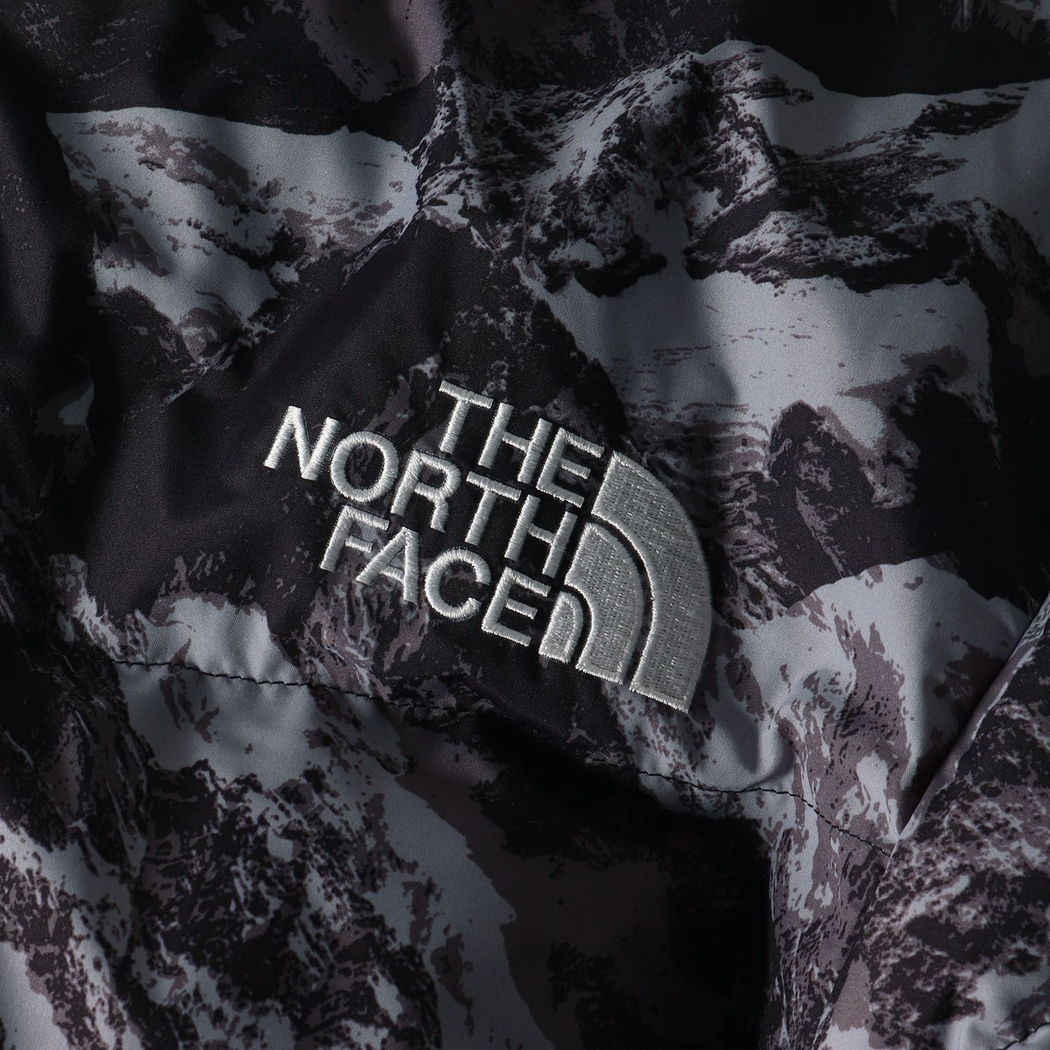 THE NORTH FACE ノースフェイス ジャケット サイズ:M 海外限定 
