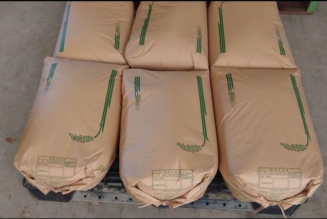 武川米】農林48号 10kg（玄米）☆新米☆ 令和7年度産山梨県北杜市武
