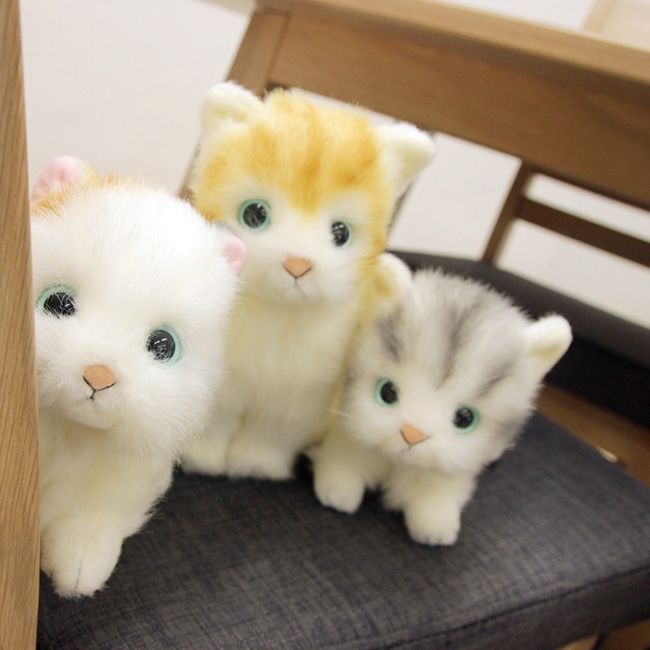 生後２０日♡トラ柄子猫ちゃん♡お昼寝セット♡アートドール♡ぬいぐるみ♡ 生後20日♡トラ柄子猫ちゃん♡お昼寝セット♡アートドール♡