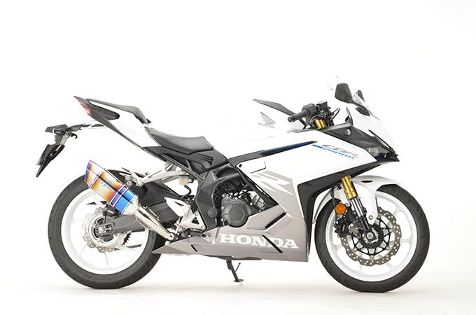 【新品・2営業日で発送】アールズギア 【必ず購入前に仕様をご確認下さい】CBR250RR GP-S SO タイプS DB (GH52-T3SD)