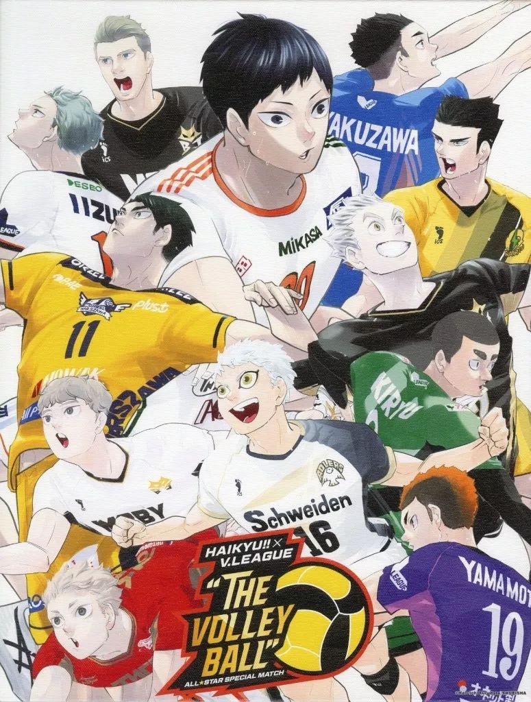 バレーボール Vリーグ ハイキューコラボ ぬいぐるみボールチェーン