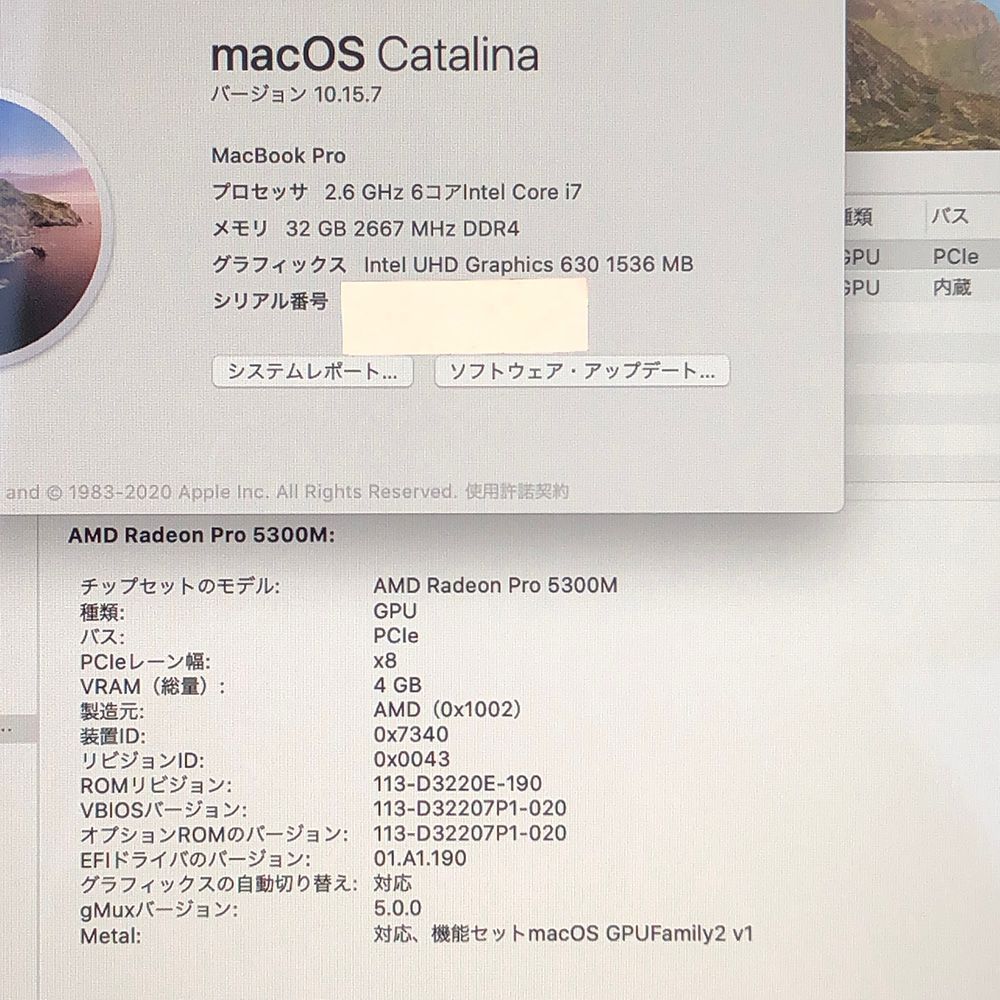 ◇ジャンク品・本体のみ◇Apple MacBook Pro (16インチ 2019