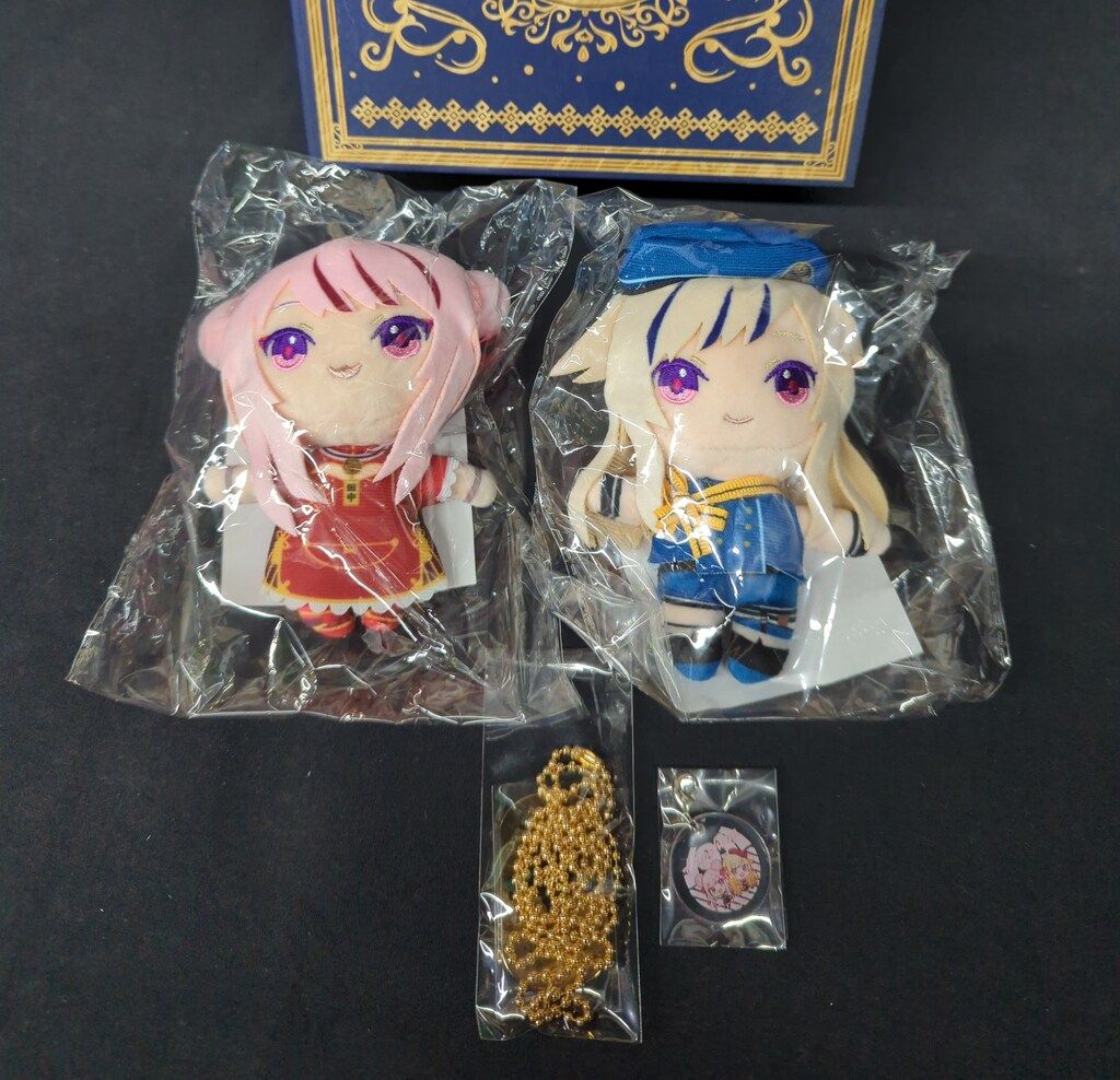 ヒメヒナ 提灯暗航