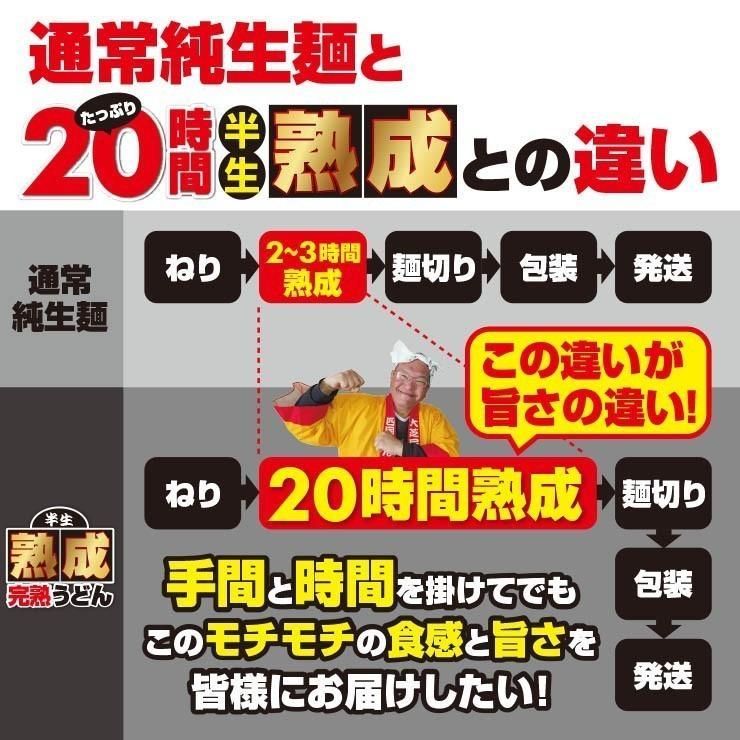 20時間熟成 半生 並麺 讃岐うどん つゆ付きセット 便利な個包装 750g 送料無料　A36