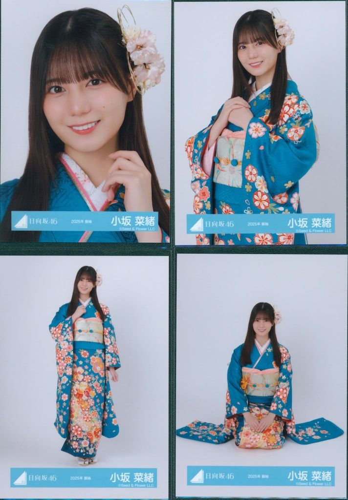 小坂菜緒 サイン入り ポストカードホルダー ひな図書 小坂菜緒 ポスト