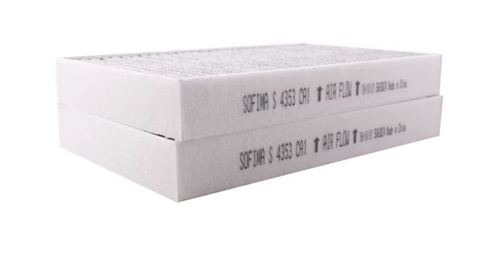 1107681-00-C 2枚入り