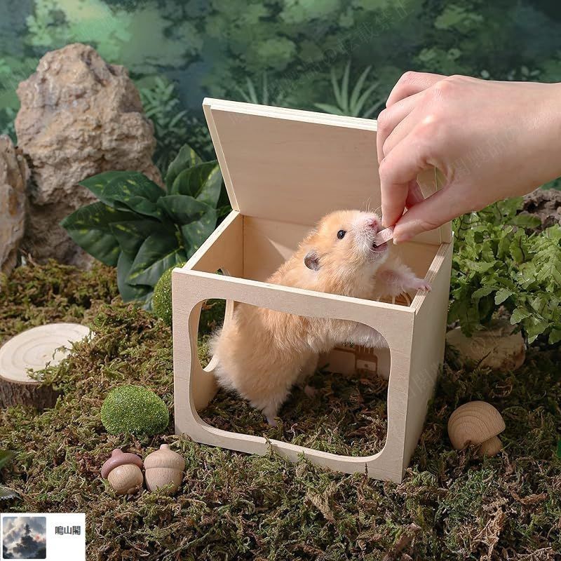 ハムスターのお家(家具付) 新品・未使用】 ハムスター ハウス 隠れ家 木製 ハムスター 家