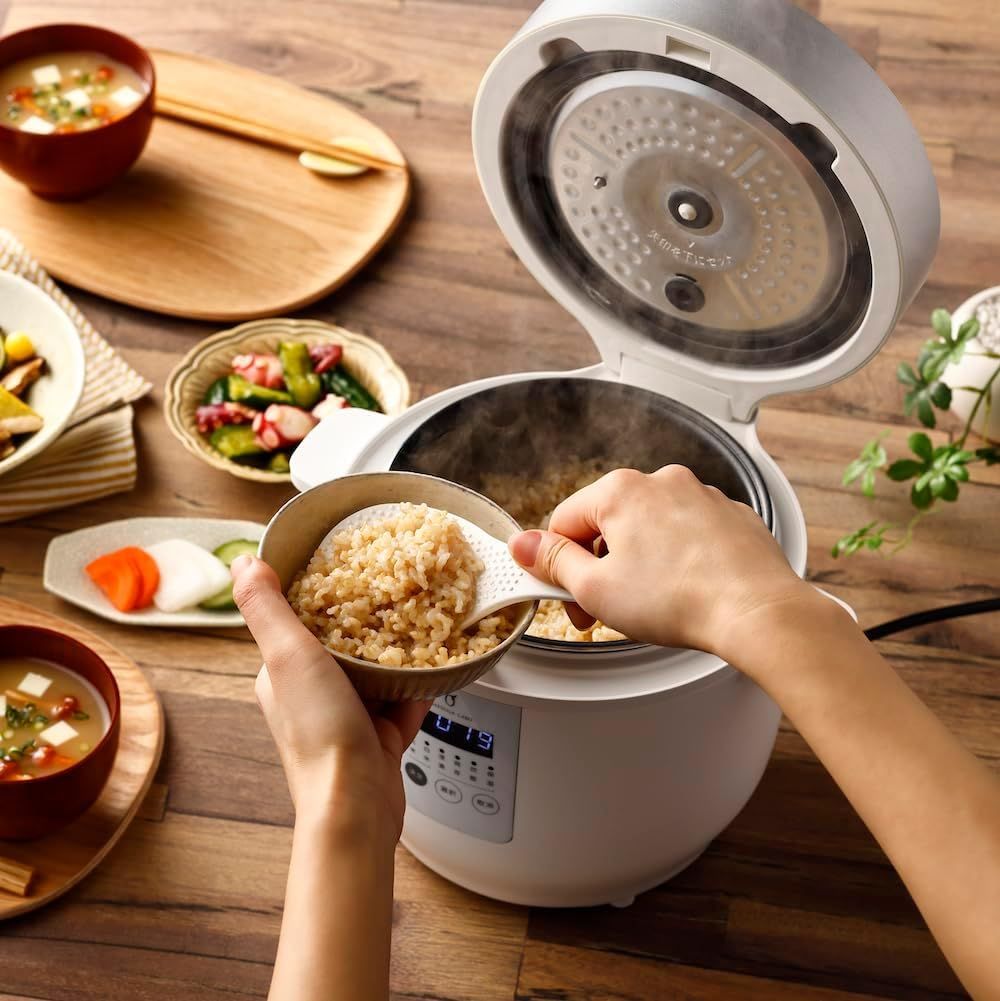 GW限定値下げ 発芽玄米炊飯器DELIFUL LIFE 3合炊き ELM-102