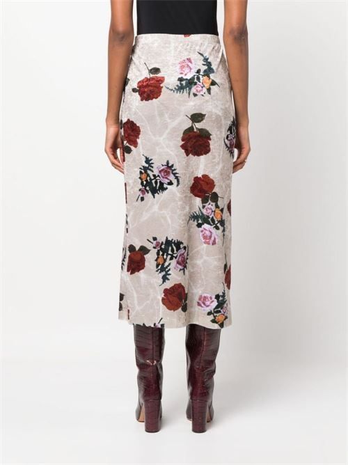 DRIES