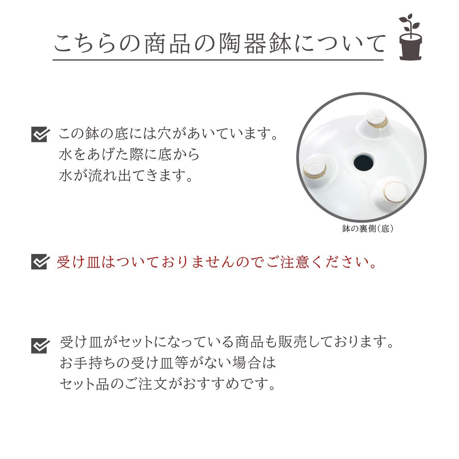 ガジュマルの木