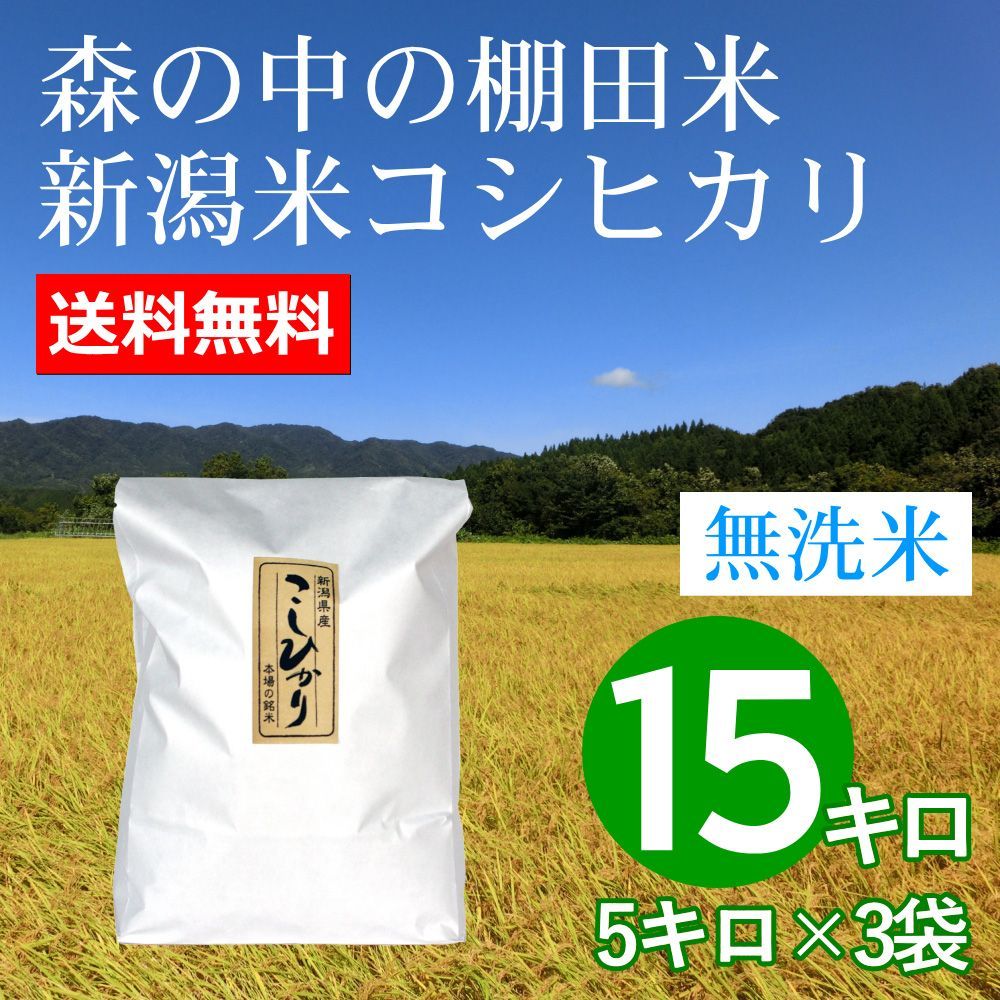 森で育ったお米 新潟米コシヒカリ 15キロ 無洗米 新潟産 令和4年産