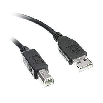 USB 2.0 Printer/Device Cable Black Type A Male to Type B Male 6 foot