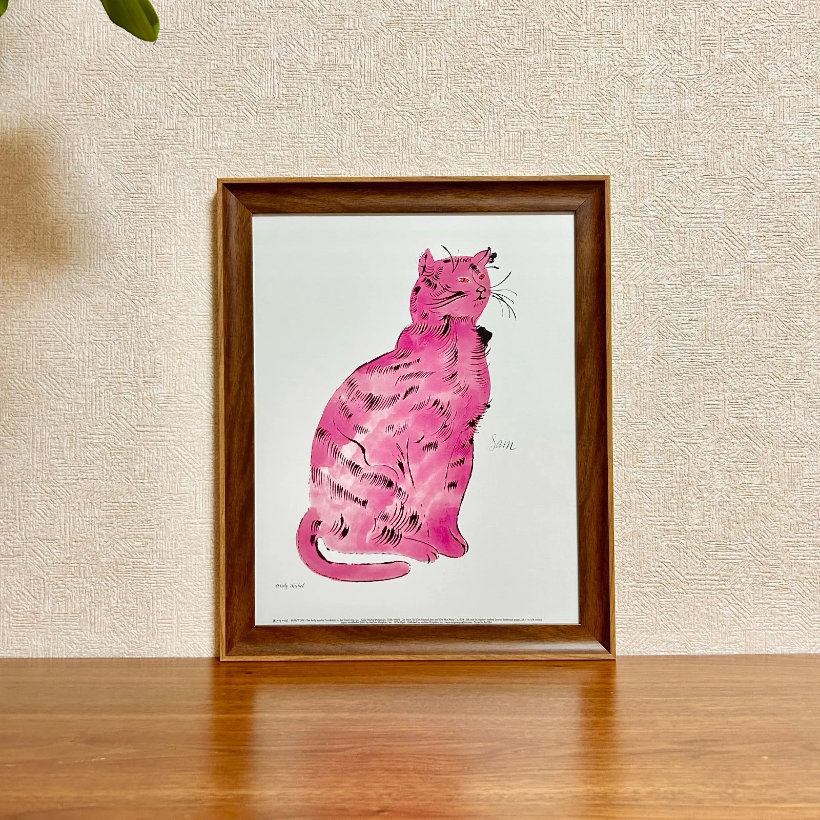 LGB PUSSY CAT/TK SMOKY PINK 初期 LGB PUSSY CAT/TK SMOKY PINK 初期 LGB PUSSY CAT/TK SMOKY PINK 初期