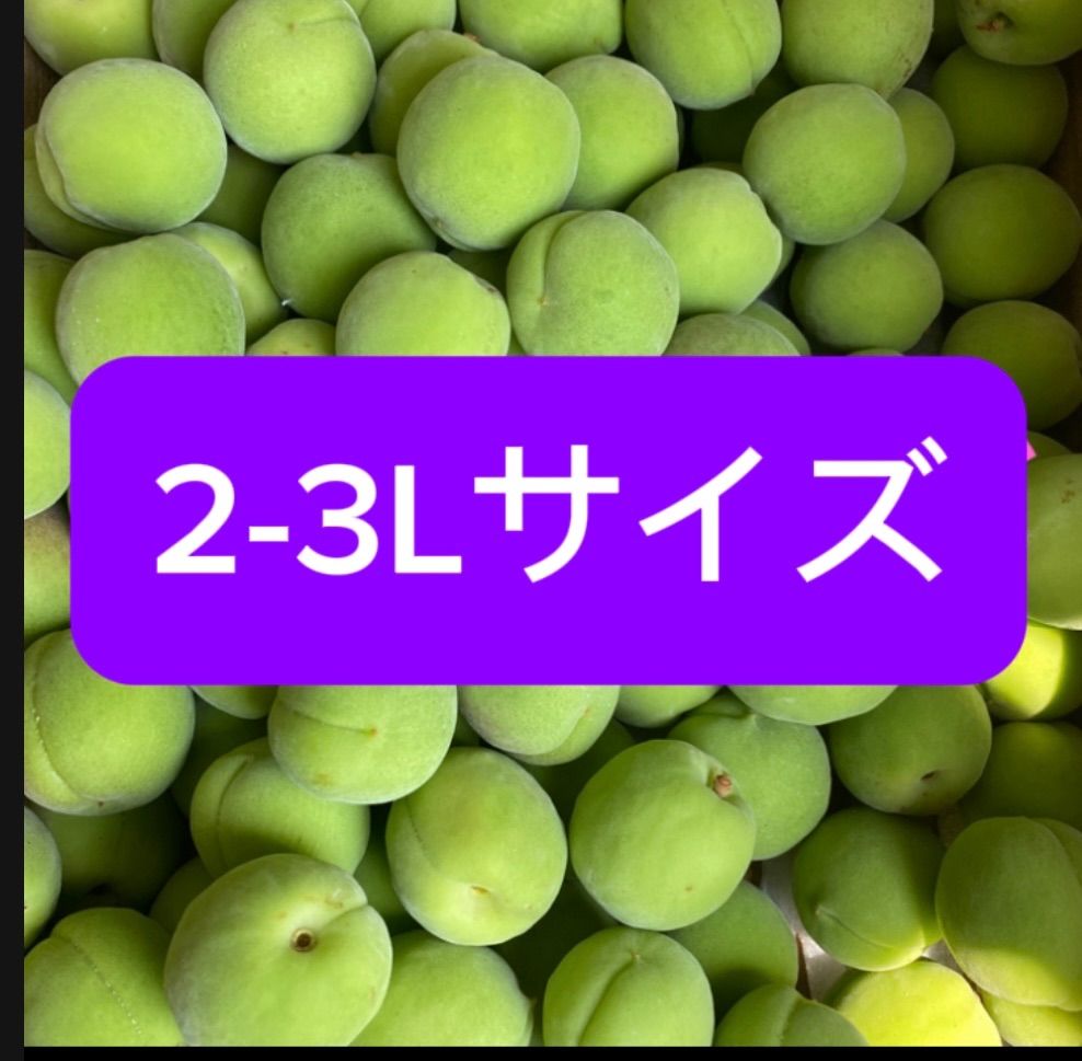 豊後青梅、.2.3L   サイズ, 10キロ箱込み(常温発送)