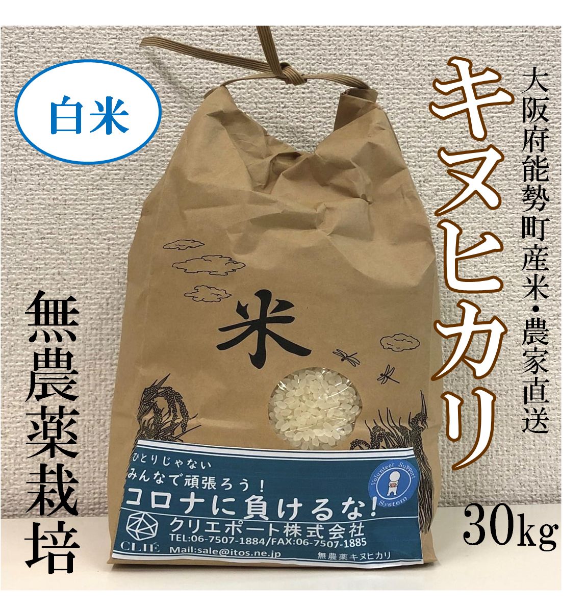 お米【令和3年産】キヌヒカリ30kg 大阪府産農家直送