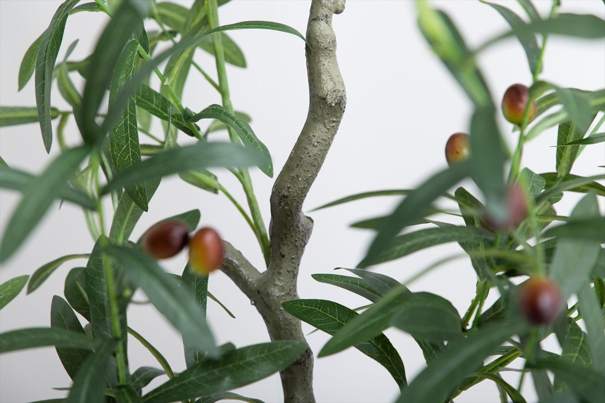 高さ85cm】光触媒人工観葉植物 オリーブ 【公式通販】