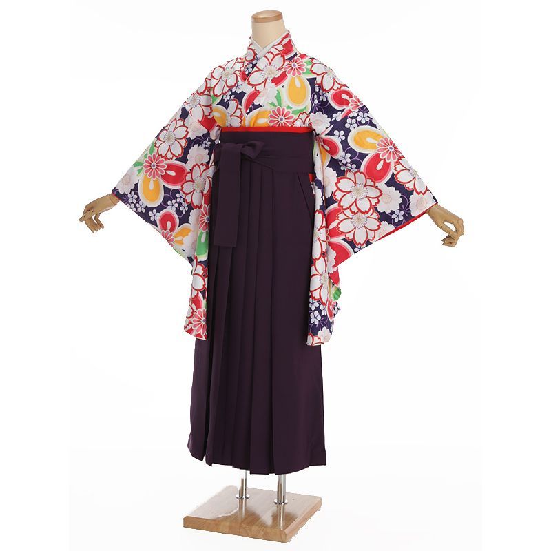 最終価格です‼️✨【高級振袖 5点セット】 正絹 中振袖 草花鳥柄
