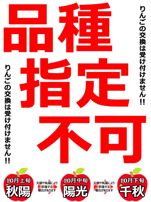 終了間近】山形県産 ご家庭用 りんご 陽光 10kg (訳あり/26玉〜46玉