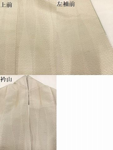 平和屋着物▽本塩沢 単衣 110亀甲 花間道 正絹 逸品 BAAS8307hv