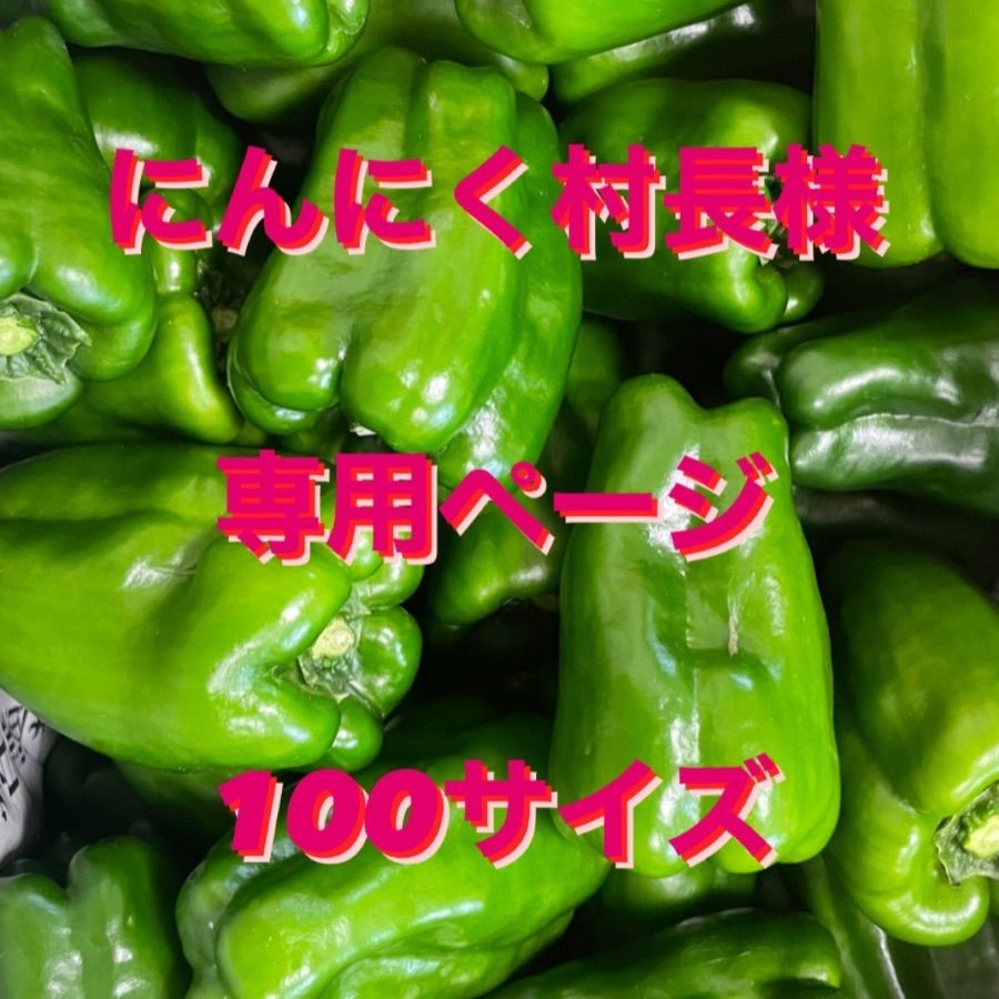ニンニク村長様専用✴︎100サイズ - メルカリ
