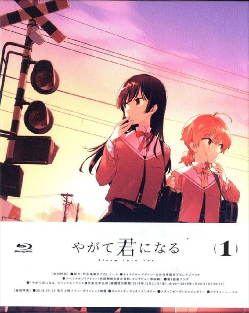 アニメBlu-ray やがて君になる 初回版全4巻 セット