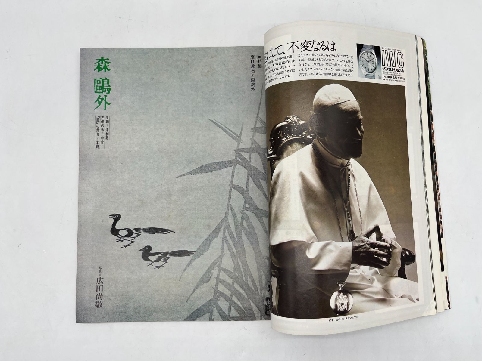 平凡社 太陽 1974年 6 THE SUN , no.133 特集 夏目漱石 と 森