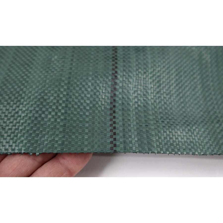 1m×100ｍ