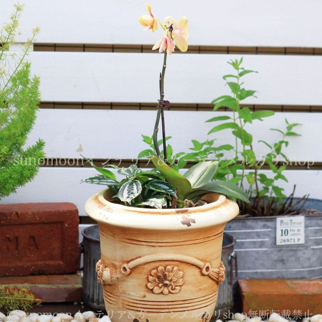 おしゃれ 2サイズ展開 インテリア 8-14 シャビー加工 ガーデンインテリア プランター 酸化マグネシウム 雑貨 ガーデニング ガーデン ガーデン ヴィンテージ調 シャビーシック 庭 庭の装飾 お洒落 ガーデン雑貨