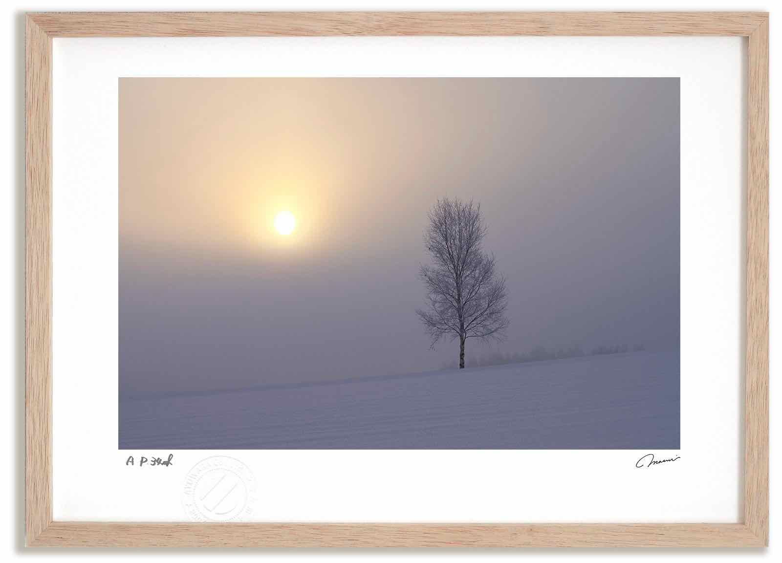 川島孝之 油絵 油彩 風景画 北アルプスオンライン ストア 川島孝之