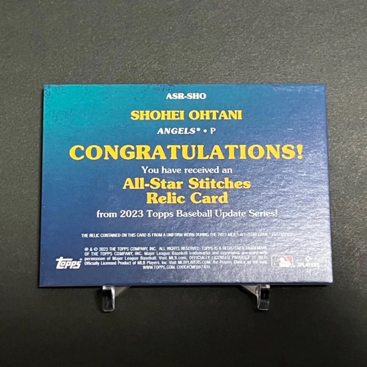 皿 鋳鉄 唐獅子牡丹 吉祥文様 値下げしました 皿 鋳鉄 唐獅子牡丹 吉祥