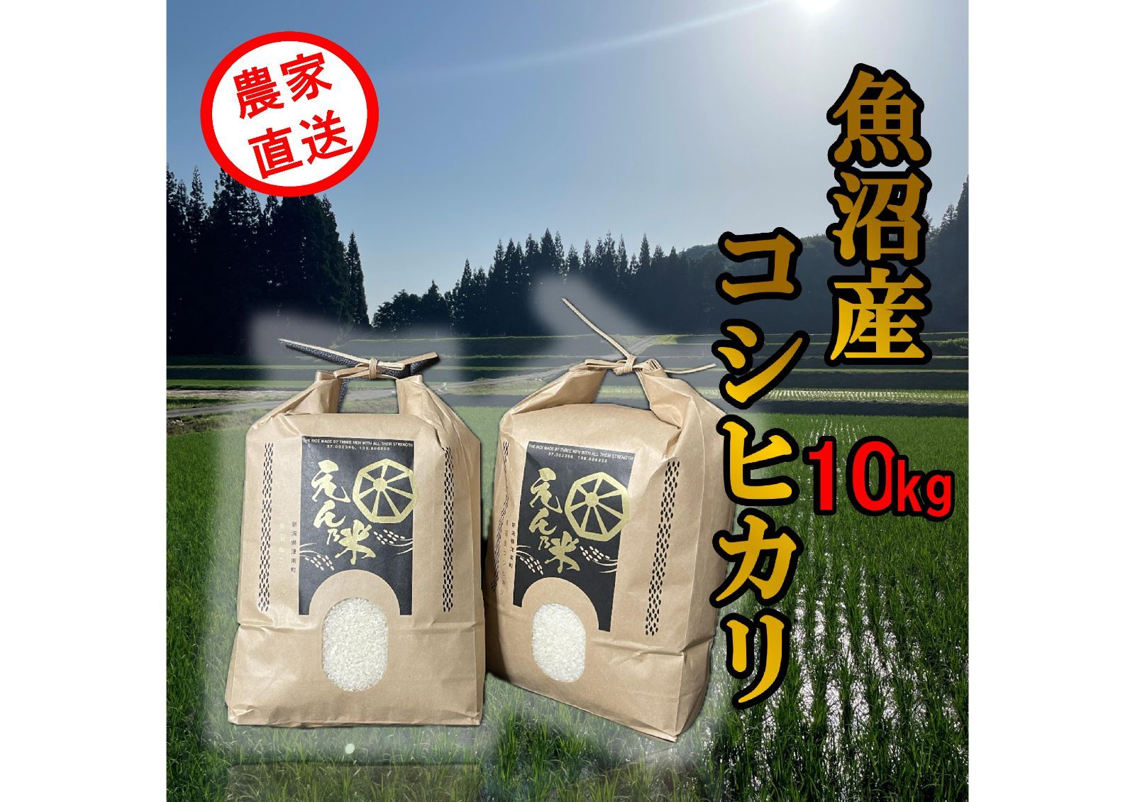 魚沼産コシヒカリ 10kg 令和6年度玄米 農家直送