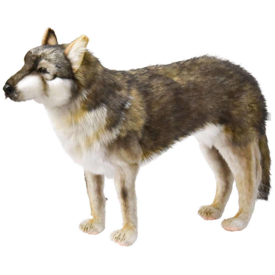 アフロ犬 ぬいぐるみ リーゼント犬 リンゴ犬 カーリー犬 ブラザー犬