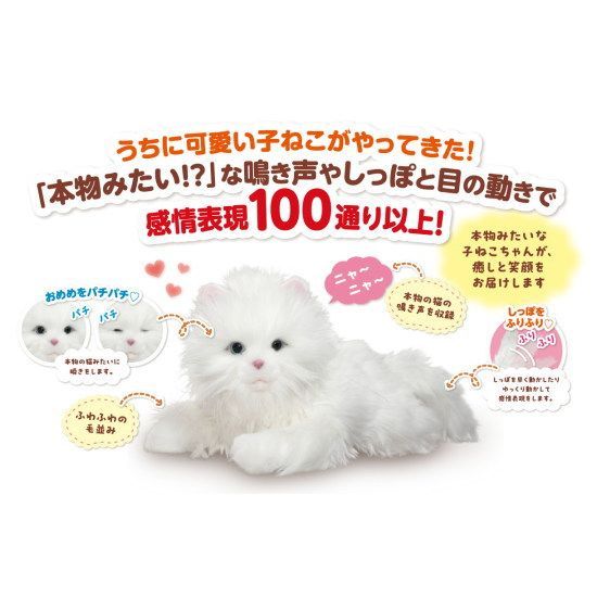 あまえんぼう 子ねこちゃん