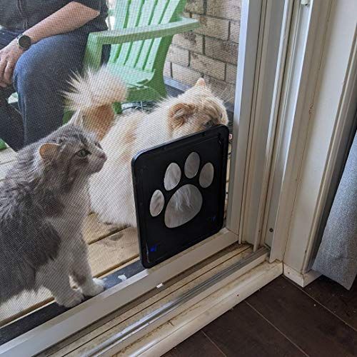 小型犬 猫出入り口