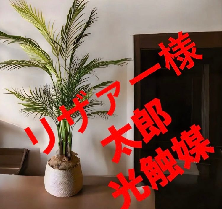 光触媒 人工観葉植物 ウォールグリーン フェイクグリーン アレカヤシ