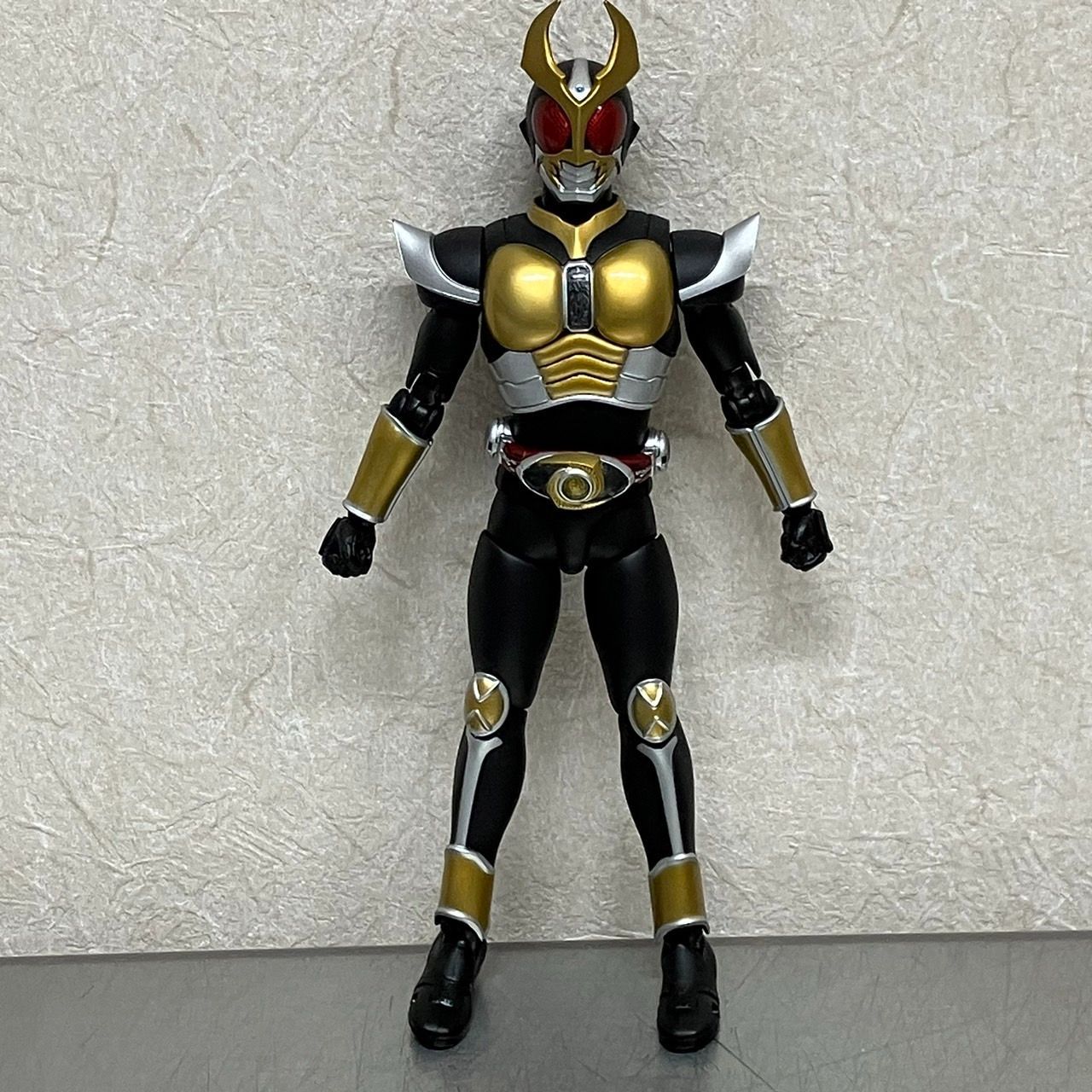 真骨彫 仮面ライダー