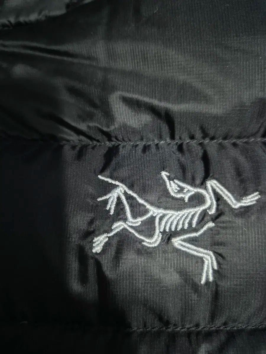 ARC TERYX Cerium アークテリクス セリウム