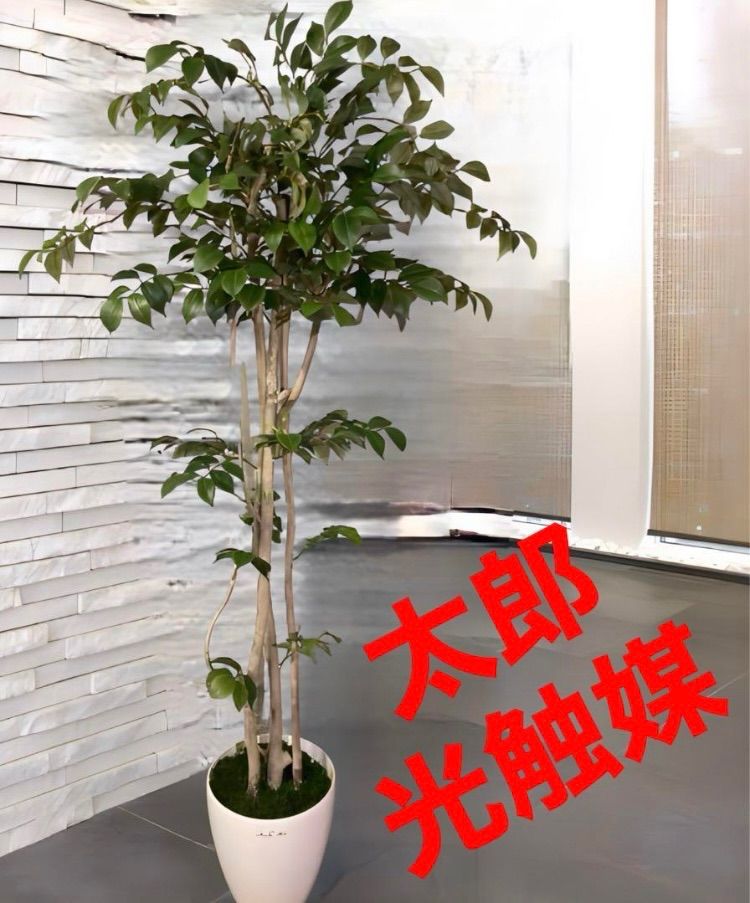 光触媒 観葉植物 ウォールグリーン 壁掛け ウオールタイプアイビー45