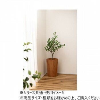 ブラウン