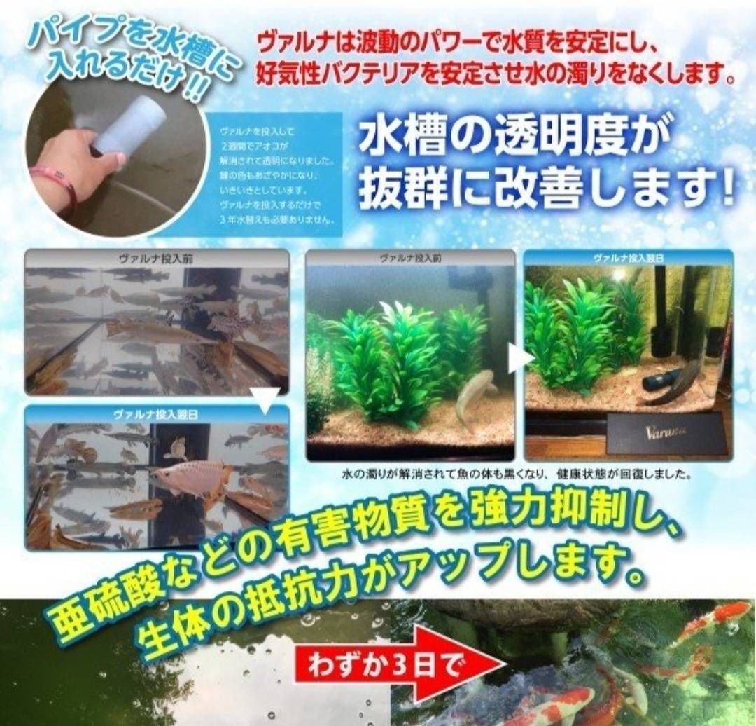 池の水質が抜群になる 錦鯉の品評会から絶賛【ヴ...+sma-laigle.fr