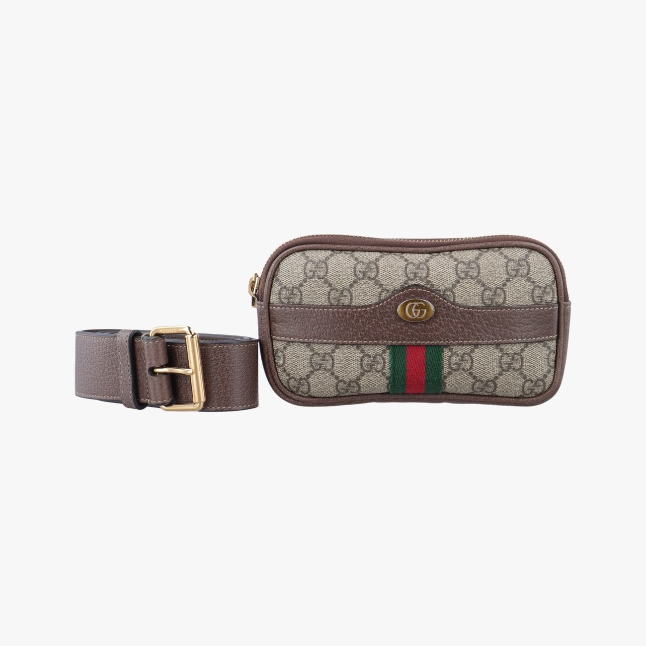 グッチGucciオフィディア ベージュ×マルチ PVCコーティングキャンバス 519308