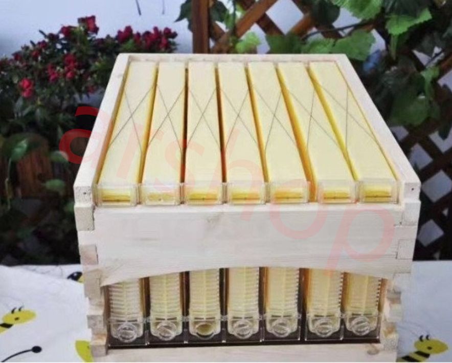 超巨大クヌギ登り木90センチ級　エサ皿　カブトムシ　クワガタ 超巨大クヌギ登り木90センチ級 エサ皿 カブトムシ クワガタ 飼育用品