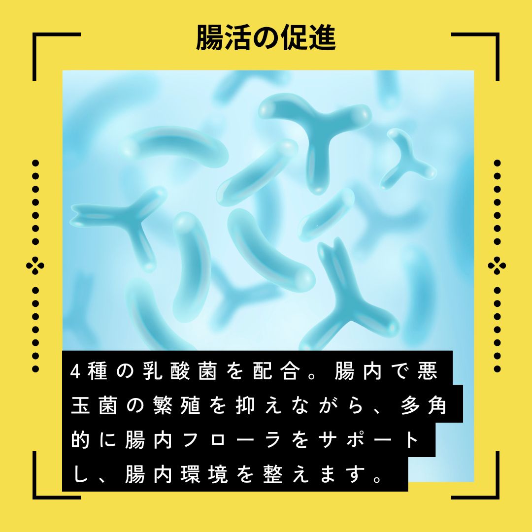 全年齢